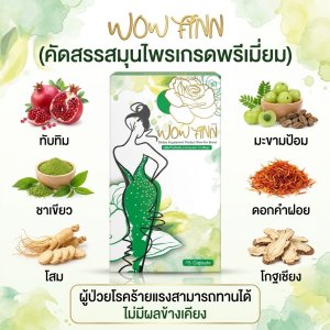 ว้าวฟินน์
