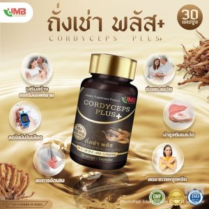 ถั่งเช่า พลัส UMB (Cordyceps Plus+)