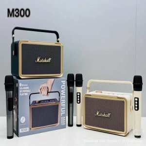 ลำโพงบลูทูธคาราโอเกะ รุ่น M300 ที่มาพร้อมไมโครโฟนไร้สาย 2 ตัว